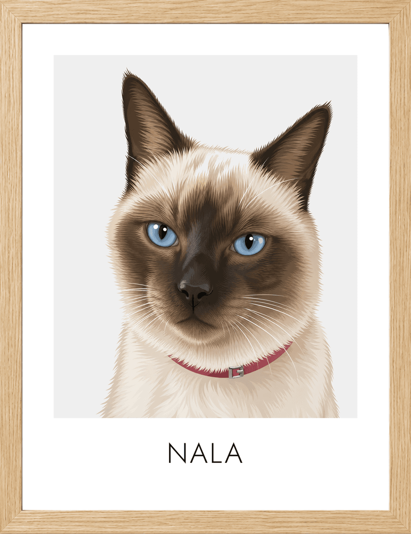 Póster emoldurado com o retrato ilustrado de uma gata siamesa e o nome dela, Nala