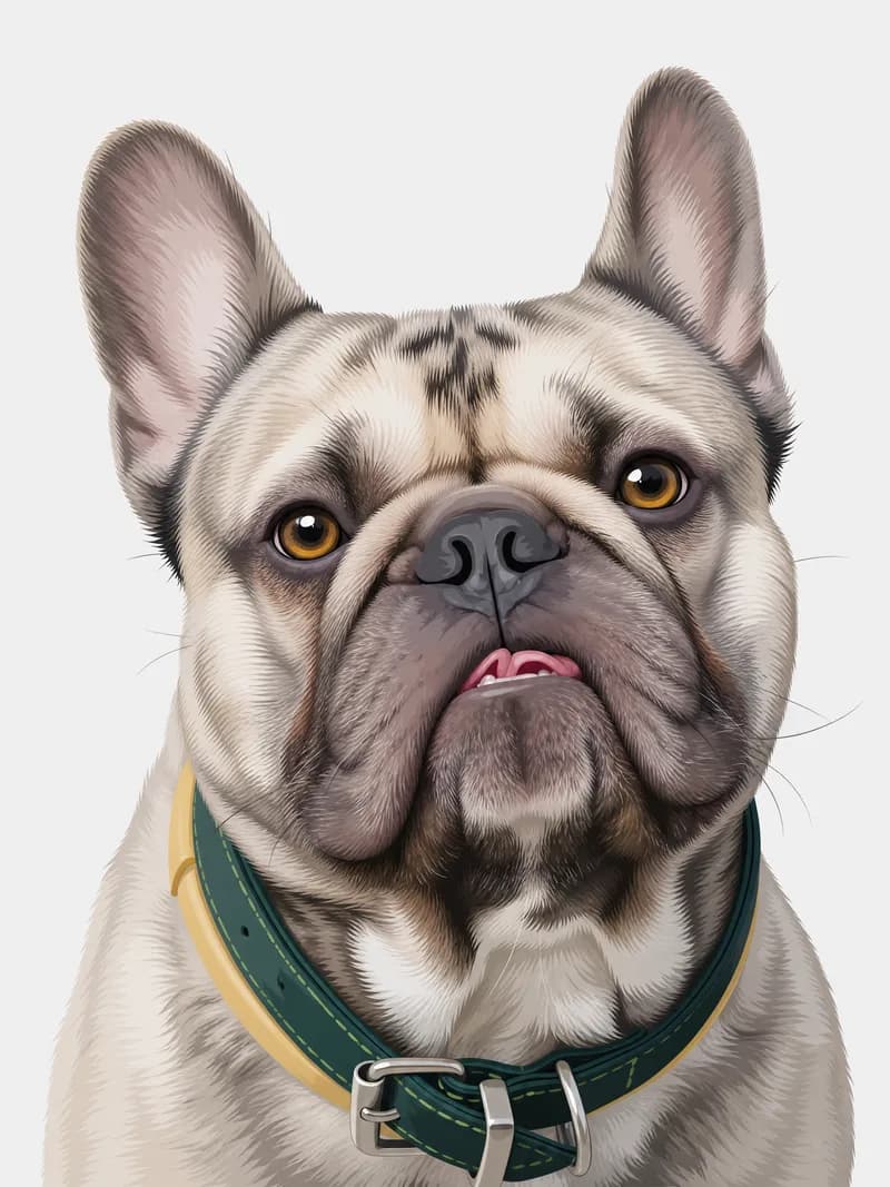 Retrato ilustrado de um bulldog francês